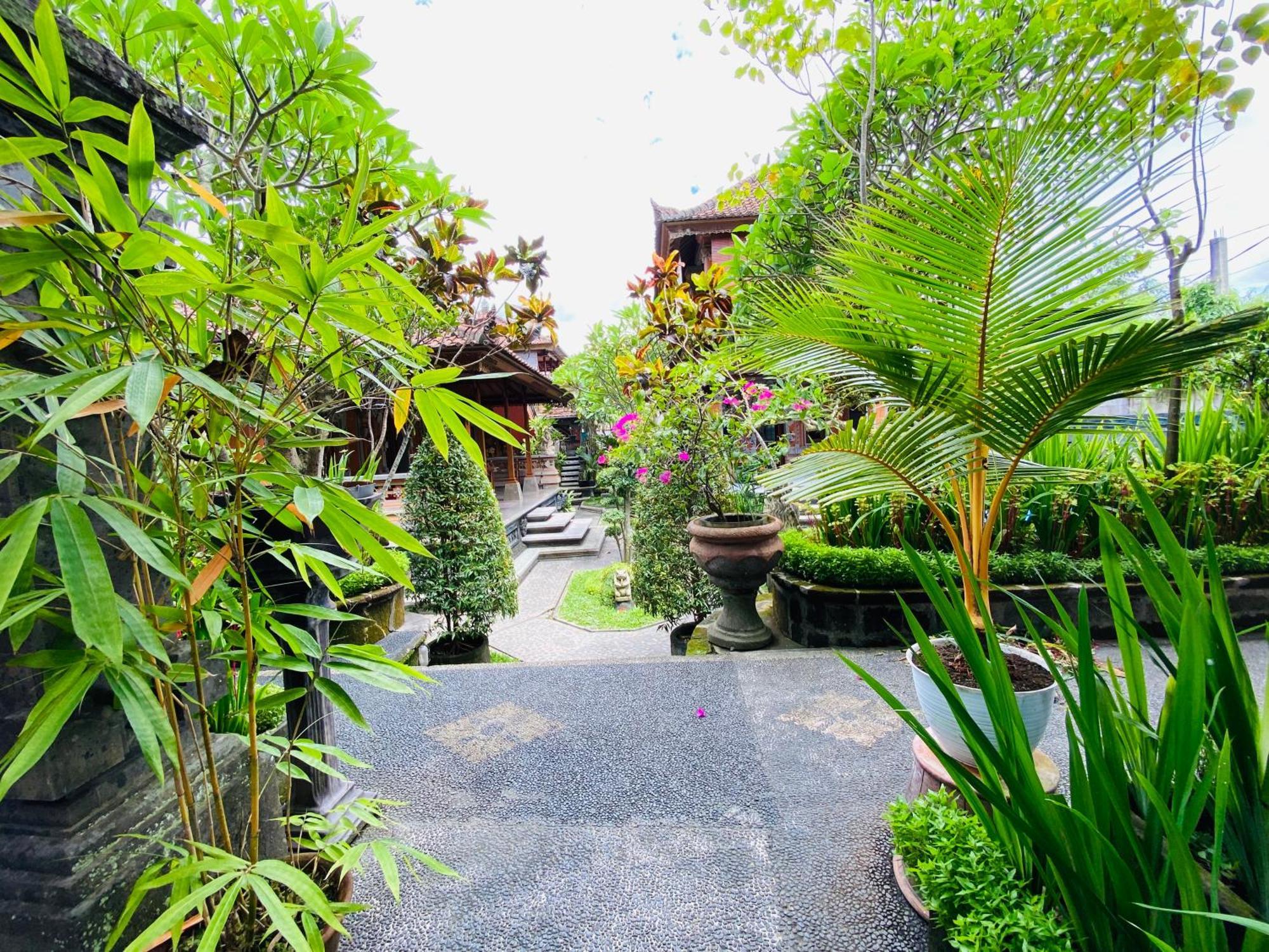 Aura Bisma Guesthouse อูบุด ภายนอก รูปภาพ